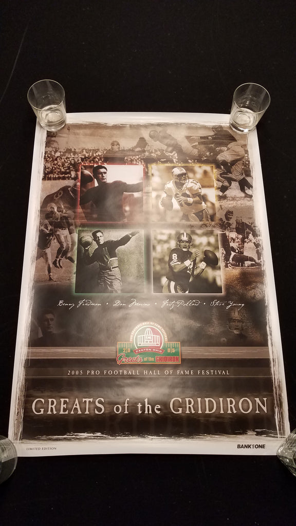 Pro Football 2005 NFL Hall of Fame Limited Edition Poster 28" x 19.5